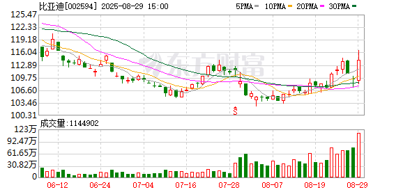 老牌配资平台 比亚迪半年报出炉：营收3713亿元 现金储备达1561亿元
